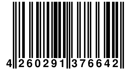 4 260291 376642