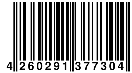 4 260291 377304
