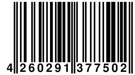 4 260291 377502