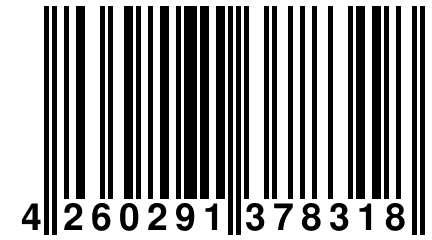 4 260291 378318