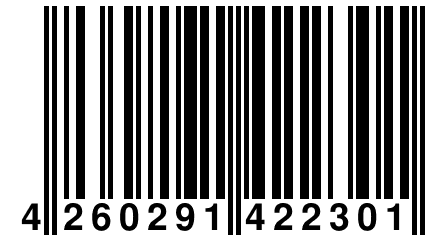 4 260291 422301