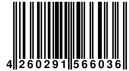 4 260291 566036