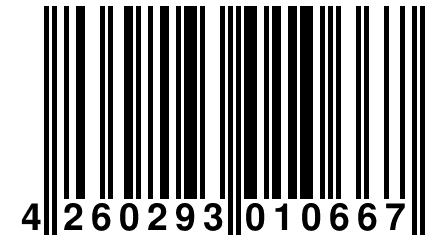 4 260293 010667