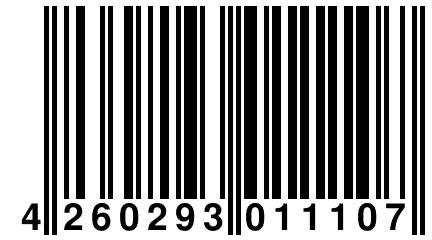 4 260293 011107