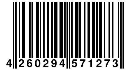 4 260294 571273