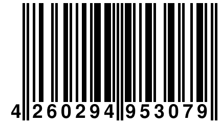 4 260294 953079