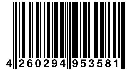 4 260294 953581