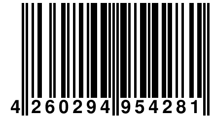 4 260294 954281