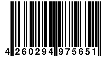 4 260294 975651