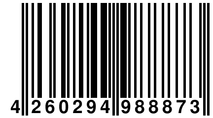 4 260294 988873