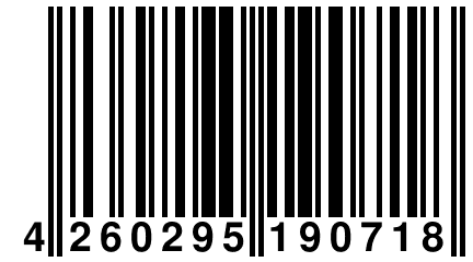 4 260295 190718