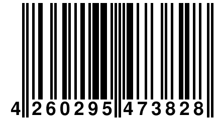 4 260295 473828