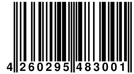 4 260295 483001