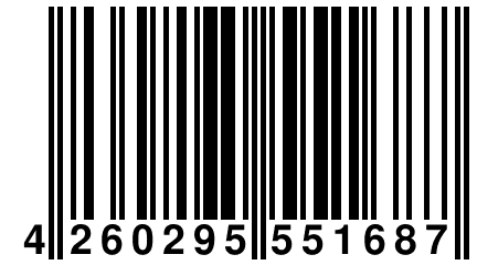 4 260295 551687