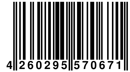 4 260295 570671