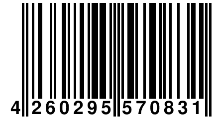 4 260295 570831