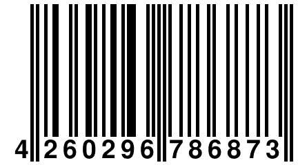 4 260296 786873