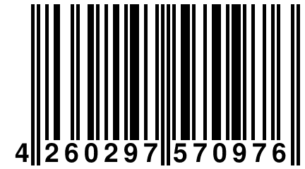 4 260297 570976