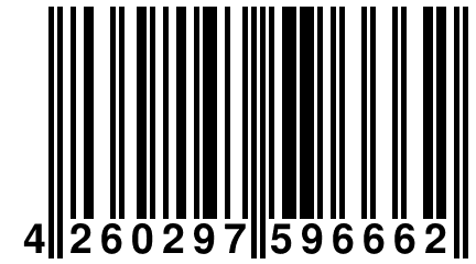 4 260297 596662