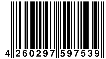 4 260297 597539