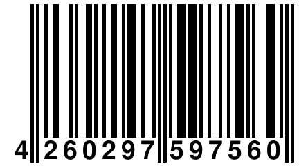 4 260297 597560