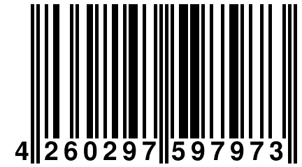 4 260297 597973