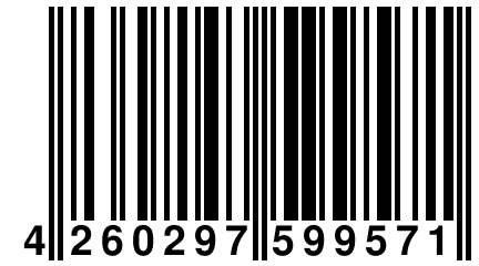 4 260297 599571