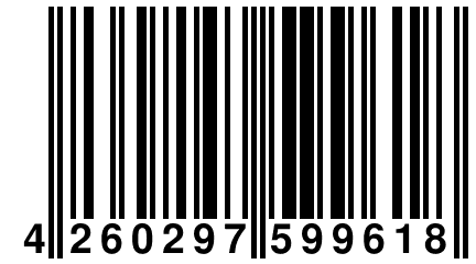 4 260297 599618