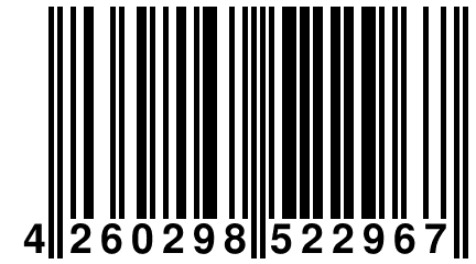 4 260298 522967