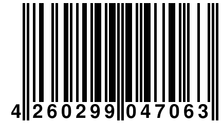 4 260299 047063