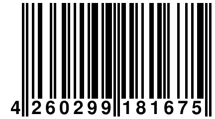 4 260299 181675