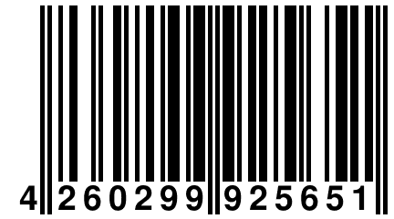 4 260299 925651