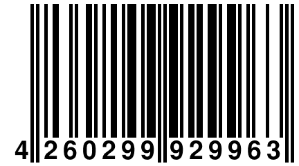 4 260299 929963