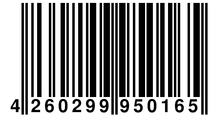 4 260299 950165