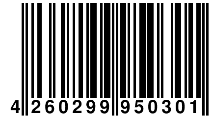 4 260299 950301