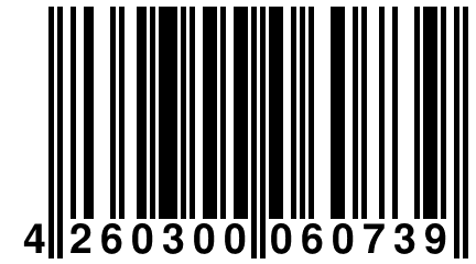 4 260300 060739