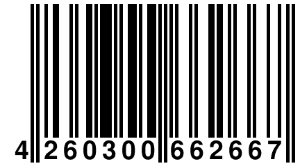 4 260300 662667