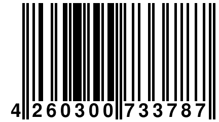 4 260300 733787