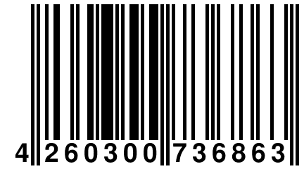 4 260300 736863