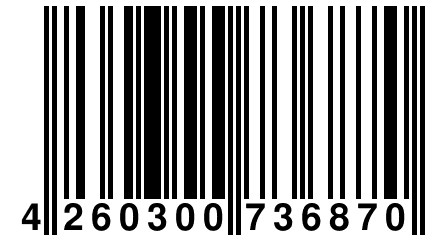 4 260300 736870
