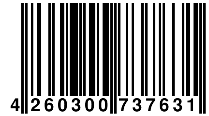 4 260300 737631