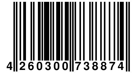 4 260300 738874