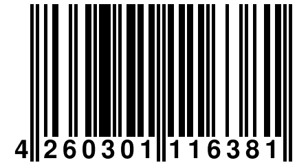 4 260301 116381