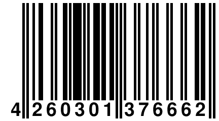 4 260301 376662