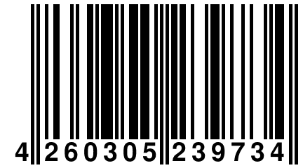 4 260305 239734