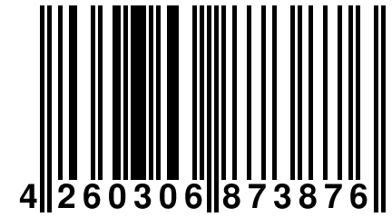 4 260306 873876