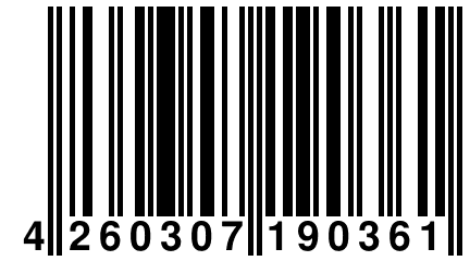 4 260307 190361