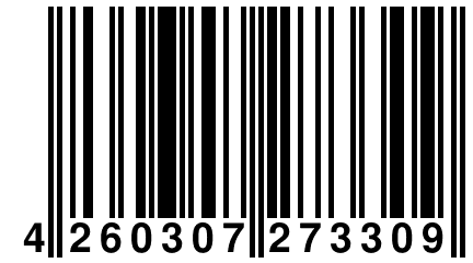 4 260307 273309