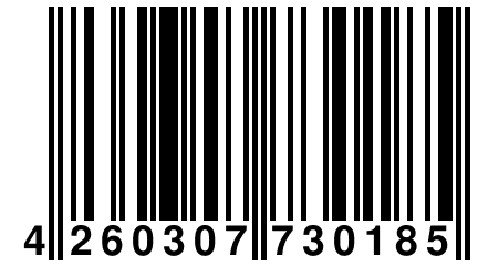 4 260307 730185