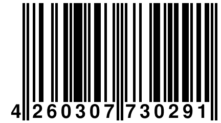 4 260307 730291